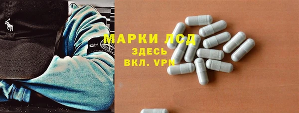 бошки Белокуриха