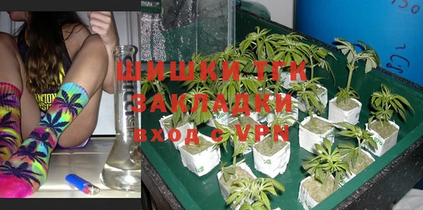 бошки Белокуриха