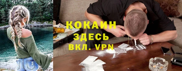 бошки Белокуриха