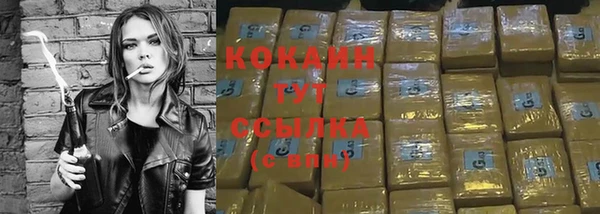 бошки Белокуриха